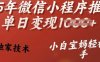 25年微信小程序推广单日变现多张，独家技术，小白宝妈轻松上手【揭秘】