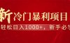 全新项目，每天被动收益1000+，长期管道收益！