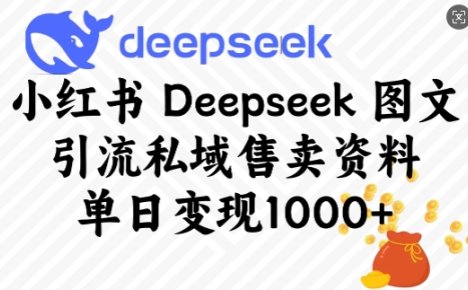 小红书Deepseek图文引流私域售卖资料,单日变现多张