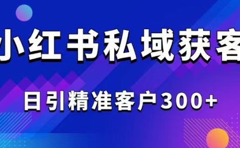 2025最新小红书平台引流获客截流自热玩法讲解，日引精准客户300+