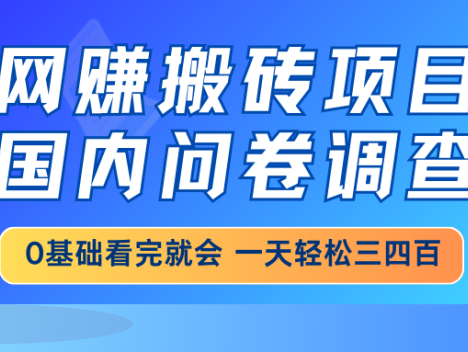 网赚搬砖项目，国内问卷调查，0基础看完就会 一天轻松三四百，靠谱副业