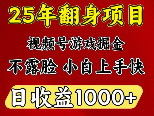一天收益1000+ 25年开年落地好项目