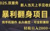 日入2000+  娱乐信息差项目  最佳入手时期   新人当天上手见收益