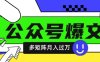 使用DeepSeek十分钟写100篇公众号爆文，多账号矩阵操作轻松月入过W
