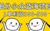 细分小众蓝海项目，一单利润3张，每月收入稳定过1w+