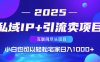 私域IP+引流卖项目，小白也可以做到轻松宅家日入1000+
