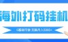 海外打码平项目，全自动撸美金，无脑月入5000+