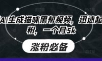 即梦AI生成猫咪黑帮视频，迅速起号涨粉，一个月5k
