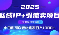 私域IP+引流卖项目，小白也可以做到轻松宅家日入1000+