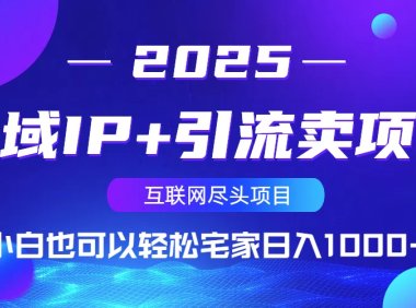 私域IP+引流卖项目，小白也可以做到轻松宅家日入1000+