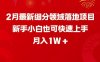 2月最新细分领域落地项目，新手小白也可快速上手，月入1W