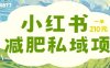 小红书减肥粉，私域变现项目，一单就达210元，小白也能轻松上手【揭秘】