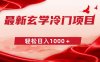 最新冷门玄学项目，零成本一单268，轻松日入1000＋