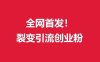 (全网首发)外面收费几千的裂变引流高质量创业粉