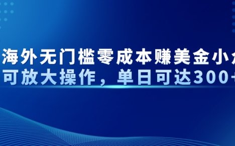 最新海外无门槛零成本赚美金小众项目可放大操作，单日可达300+