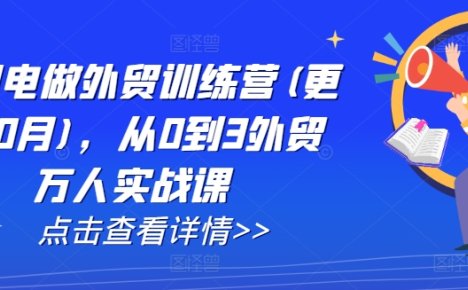 AI闪电做外贸训练营(更新25年2月),从0到3外贸万人实战课