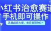 小红书治愈视频赛道，手机即可操作，流量超级火爆，单日变现300+【揭秘】