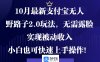 10月最新支付宝无人野路子2.0玩法，无需露脸，实现被动收入，小白也可…