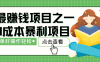 最新赚钱项目之一，简单操作，冷门长久项目