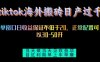 tiktok海外搬砖项目单机日产过千当天做当天见收益