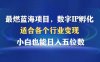 最燃蓝海项目  数字IP孵化  适合各个行业变现  小白也能日入5位数