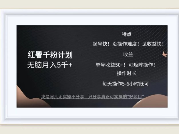 红薯千粉计划无脑月入5千+！既做既赚！