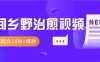 一学就会，1分钟教会你，10W+爆款田间乡野治愈视频(附提示词技巧)