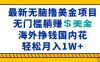 海外无脑撸美金项目，无门槛躺赚美金，海外挣钱国内花，月入一万加