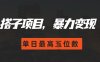 2024搭子玩法，0门槛，暴力变现，单日最高破四位数【揭秘】
