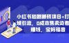 小红书短剧搬砖项目+打造私域引流，0成本售卖边看剧边赚钱，宝妈福音【揭秘】