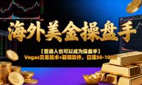AI美金操盘手技术【普通人也可以成为操盘手】Vegas交易技术+聪明软件,日赚50-100U
