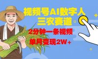 视频号AI数字人玩转三农赛道,2分钟一条视频,单月变现2W+