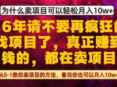 为什么真正賺到钱的都在卖项目,从0-1教你卖项目的方法,看完你也可以月入10w+【揭秘】
