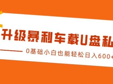 升级暴利车载U盘私域玩法,0基础小白也能轻松日入多张【揭秘】