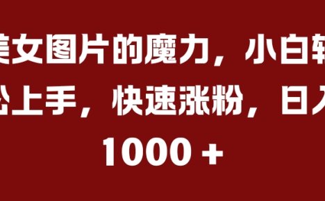 美女图片的魔力,小白轻松上手,快速涨粉,日入几张【揭秘】