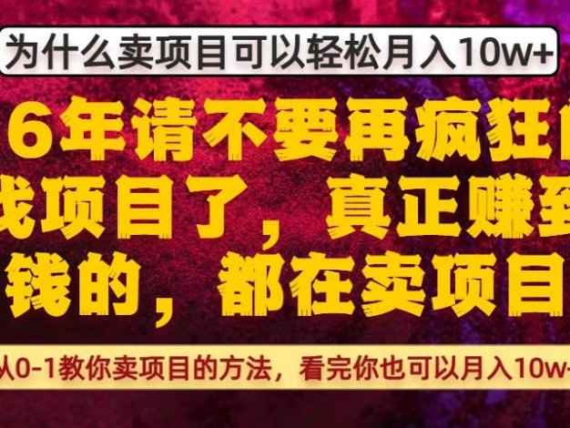 为什么真正賺到钱的都在卖项目，从0-1教你卖项目的方法，看完你也可以月入10w+【揭秘】