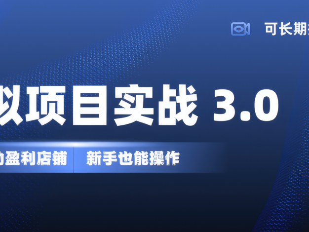 虚拟项目实操落地 3.0,新手轻松上手，单品月入1W+