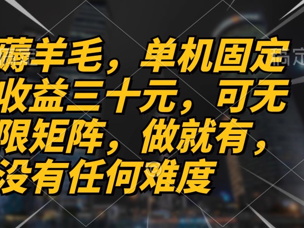 薅羊毛项目，单机三十元，做就有，可无限矩阵 无任何难度