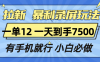 拉新暴利录屏玩法，一单12块，一天到手7500，有手机就行