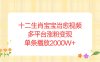 十二生肖宝宝治愈视频，多平台涨粉变现，单条播放2000W+
