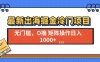 最新出海掘金冷门项目，单号日入1000+