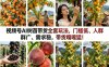 视频号AI树苗带货全套玩法，门槛低、人群广、需求稳，带货嘎嘎猛！(更新0322)