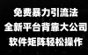 免费暴力引流法，全新平台，背靠大公司，软件矩阵轻松操作