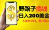 野路子搞钱，日入200美金，路子很野，小白莫入