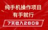纯手机操作的小项目，有手就能做，7天收入2609+实操教程【揭秘】