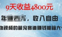 萌宠赛道赚钱秘籍：AI宠物兔视频详细拆解，9天收益4.8k