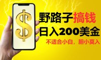 野路子搞钱，日入200美金，路子很野，小白莫入