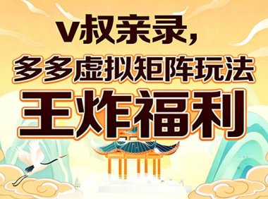 v叔亲录,多多虚拟矩阵玩法,王炸福利限时领取