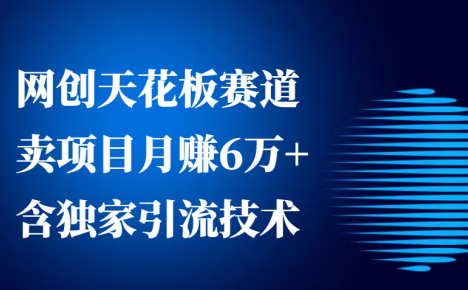 网创天花板赛道，卖项目月赚6万+，含独家引流技术(共26节课)
