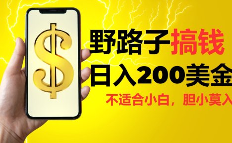 野路子搞钱，日入200美金，路子很野，小白莫入